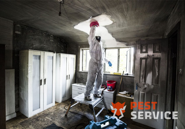 Профессиональная уборка помещений после пожара в Северодвинске от 2500 руб: удаление сажи, копоти и запаха гари, глубокая очистка поверхностей и восстановление чистоты. Быстро, безопасно и эффективно.