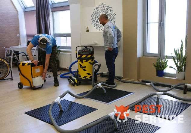 Профессиональная сушка после потопа в Северодвинске от 3000 руб. Быстро устраняем влагу, предотвращаем плесень и повреждения. Современное оборудование и опытные специалисты. Безопасно и эффективно.